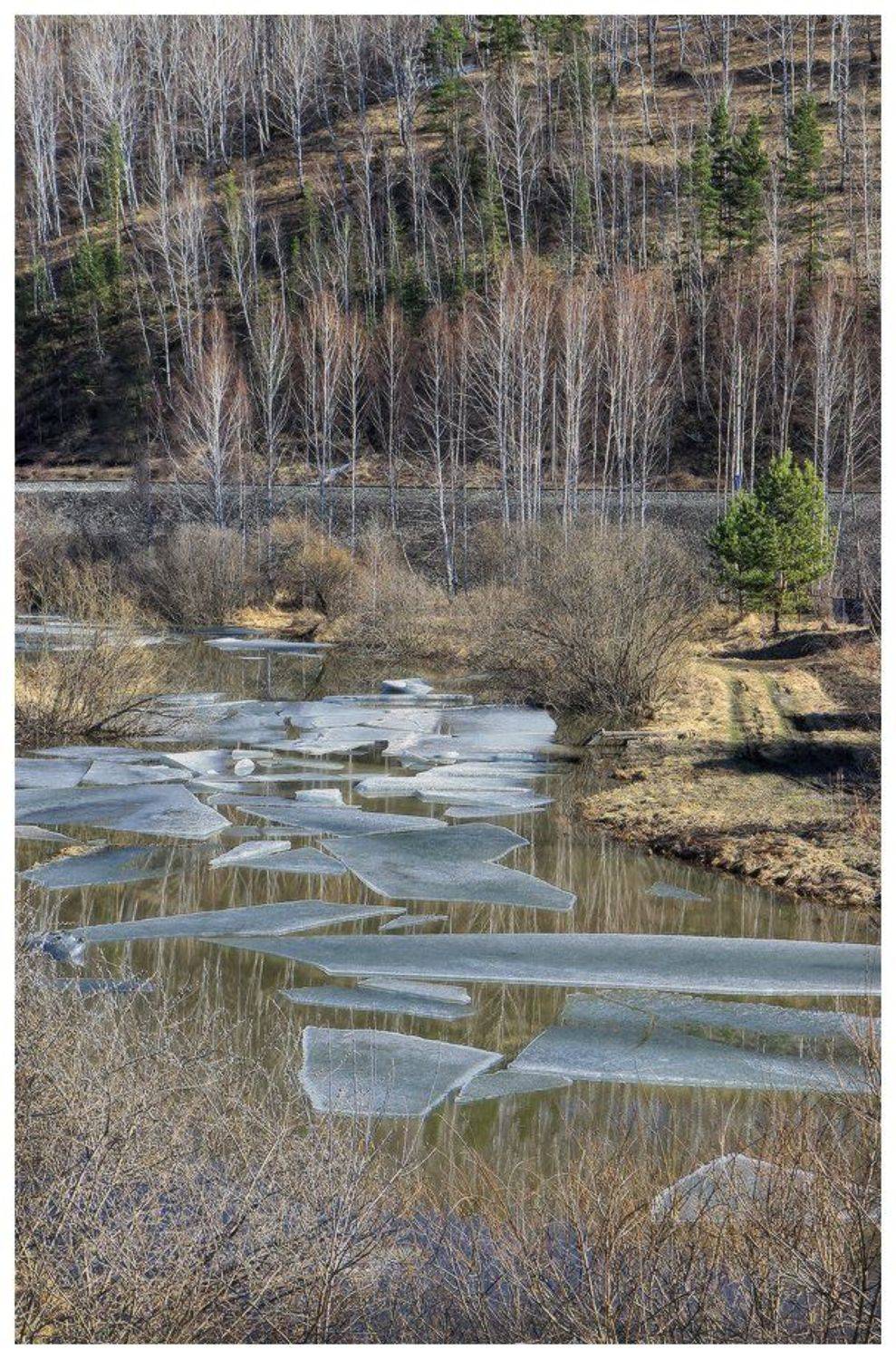 , Галина Хвостенко