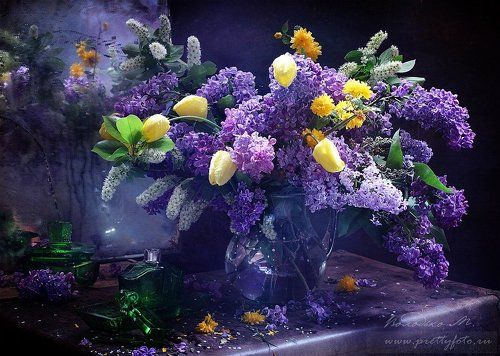 Кусты душистые сирени В весенней неге мирно спят.