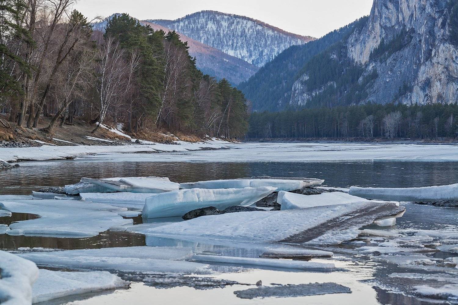 Altai, Katun, Siberia, Spring, Алтай, Весна, Сибирь, Павел Филатов