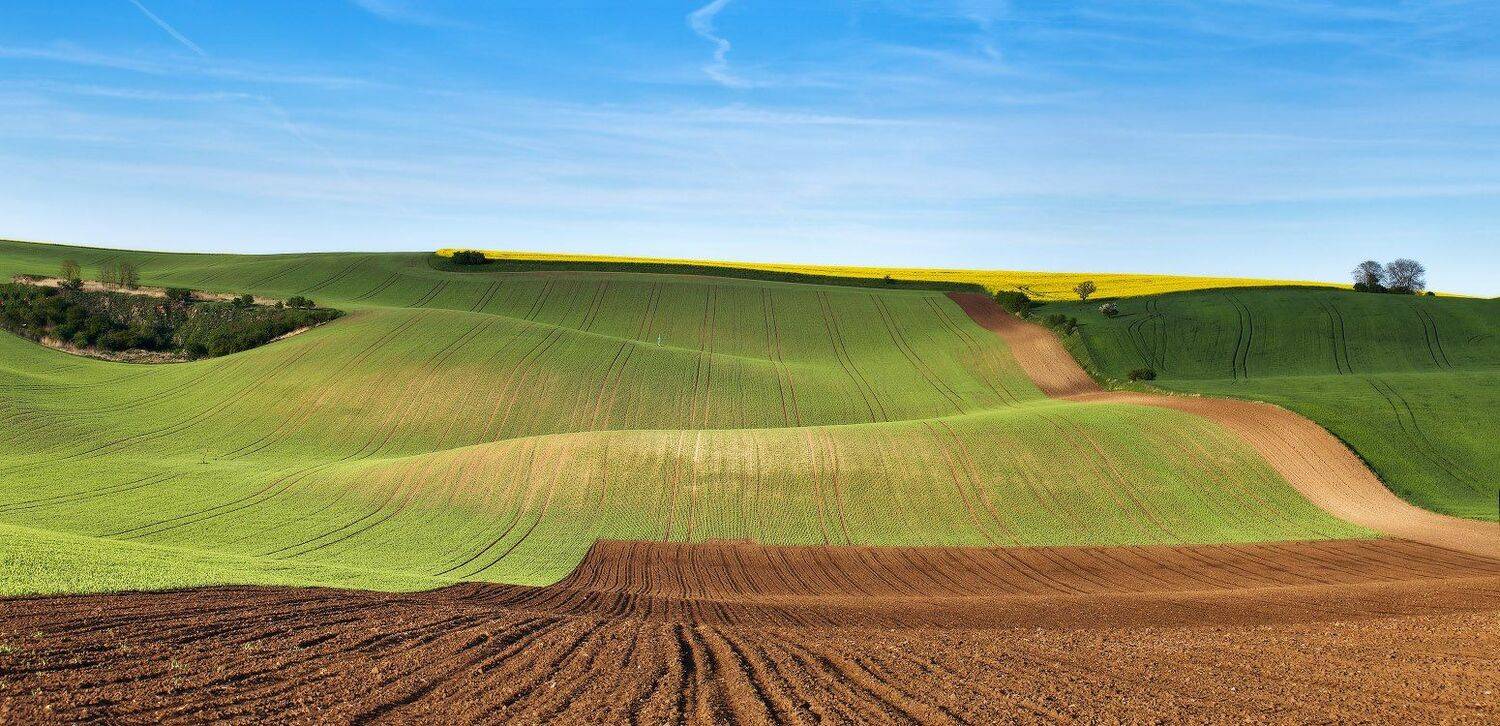 Весна, Европа, Моравия, Чехия, Вейзе Максим