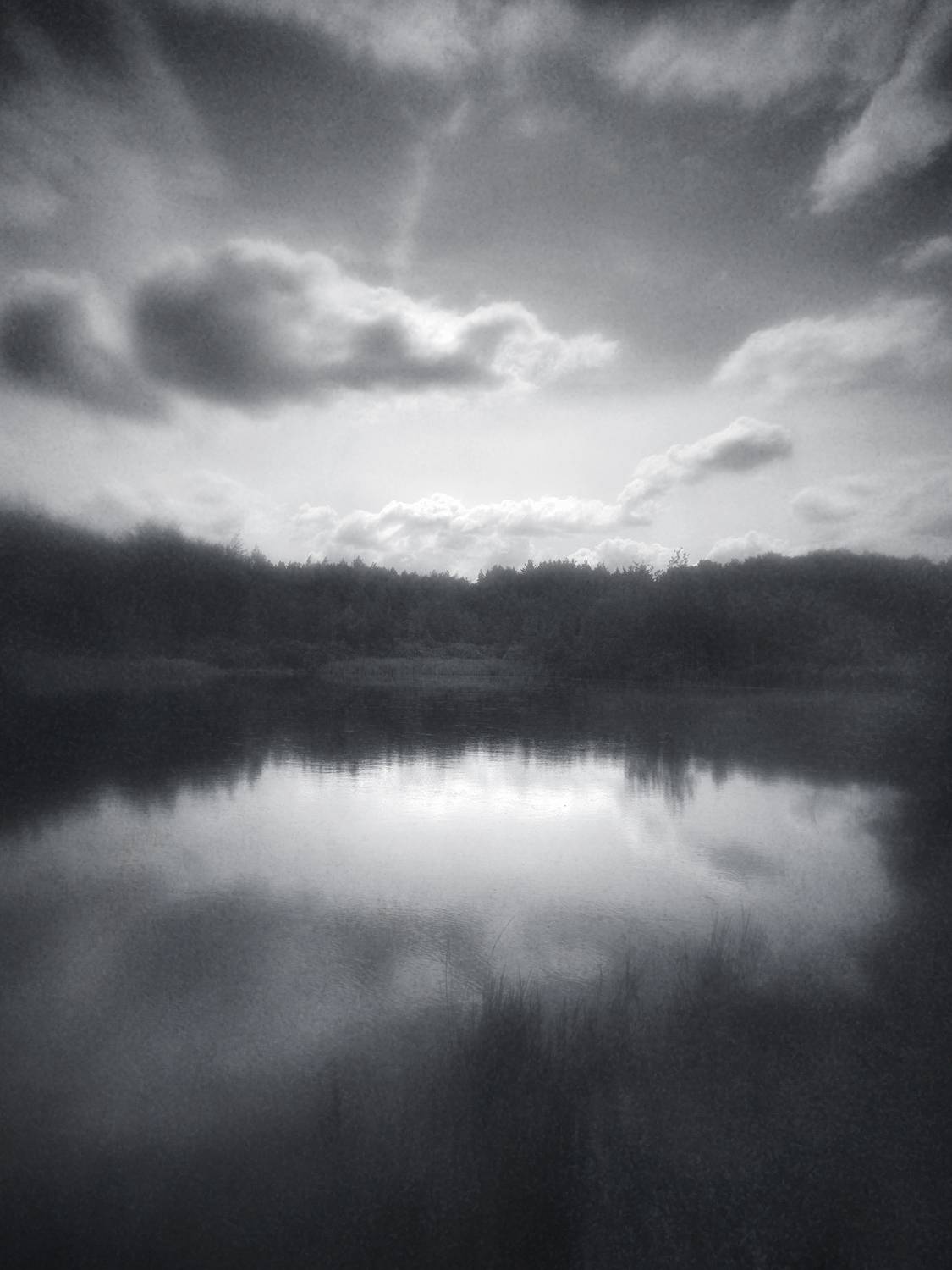 чб, пейзаж, Сергей Кот