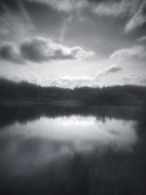 чб, пейзаж Тихий омут. фото превью