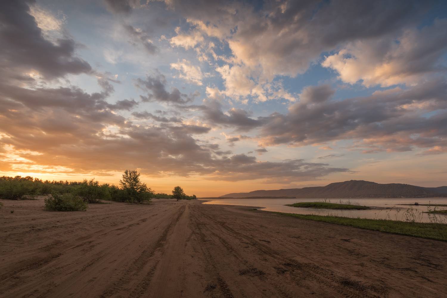 , Алексей Проняхин