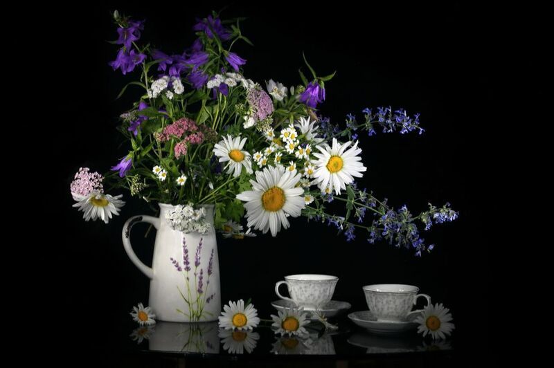 ромашки колокольчики котовник тысячелистник девичья хризантема Разноцветье июня фото превью