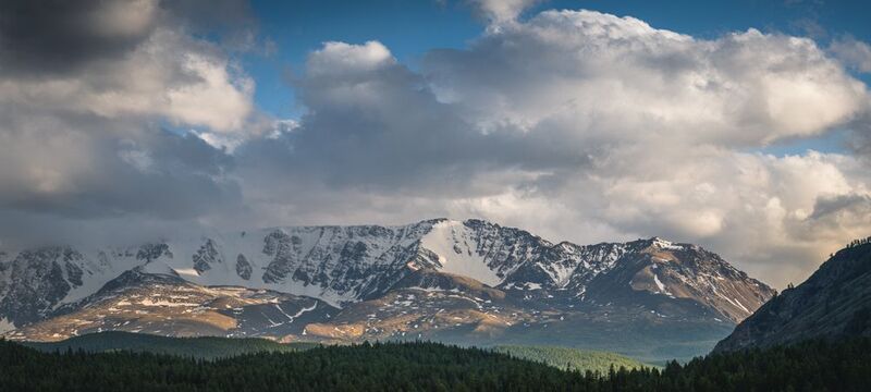 Горы, облака, лес, снежные горы, Алтай Горный Алтай фото превью