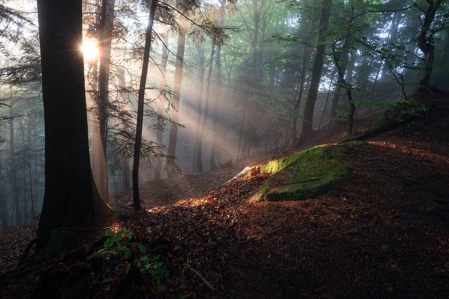 ,  Mirosław Pruchnicki