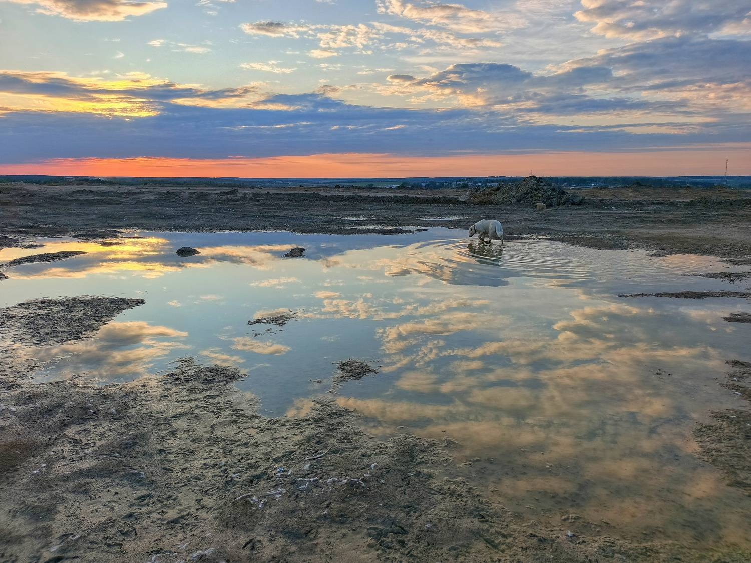 , Кондрашова Светлана