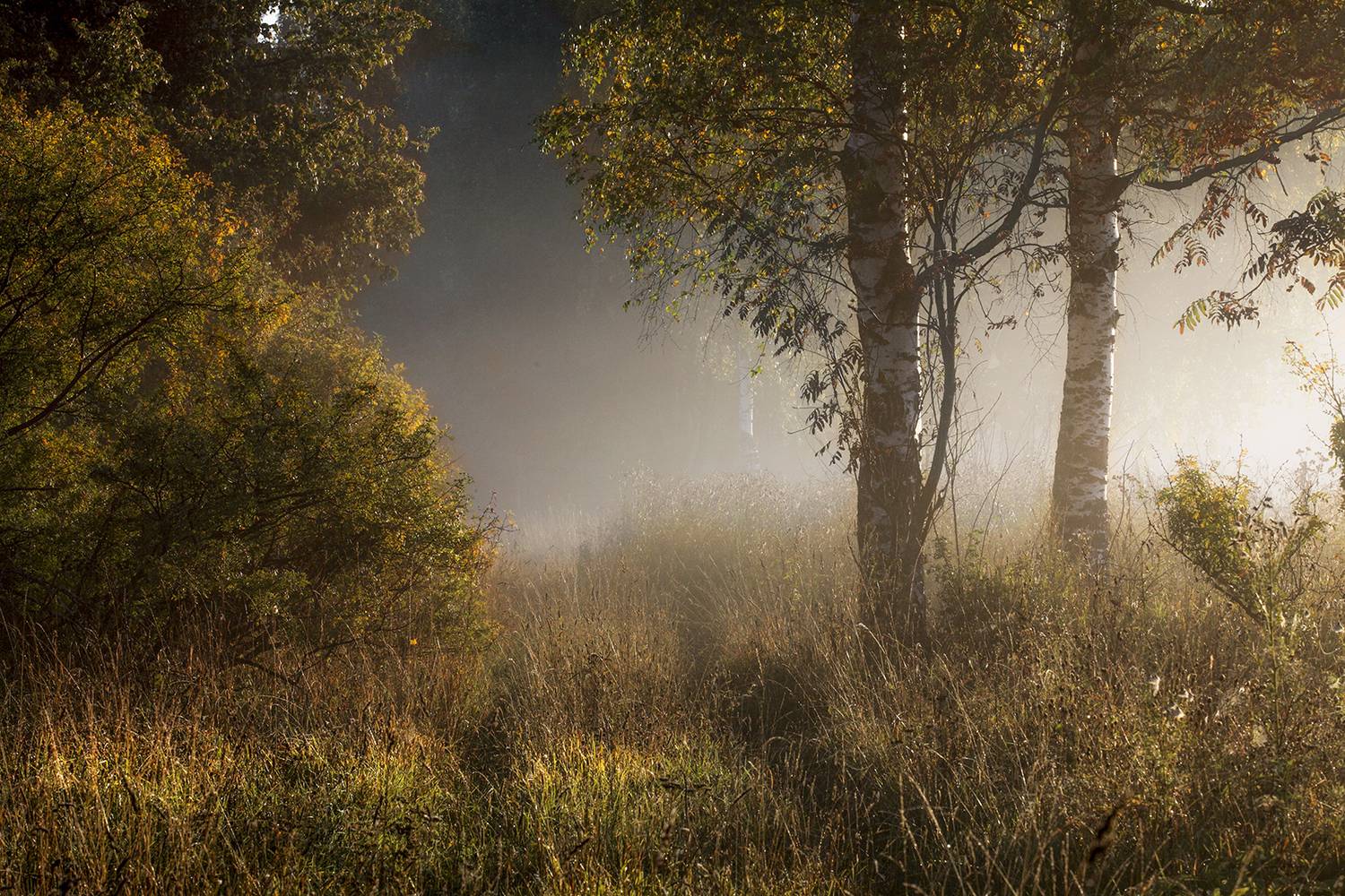 ,  александр михайлов