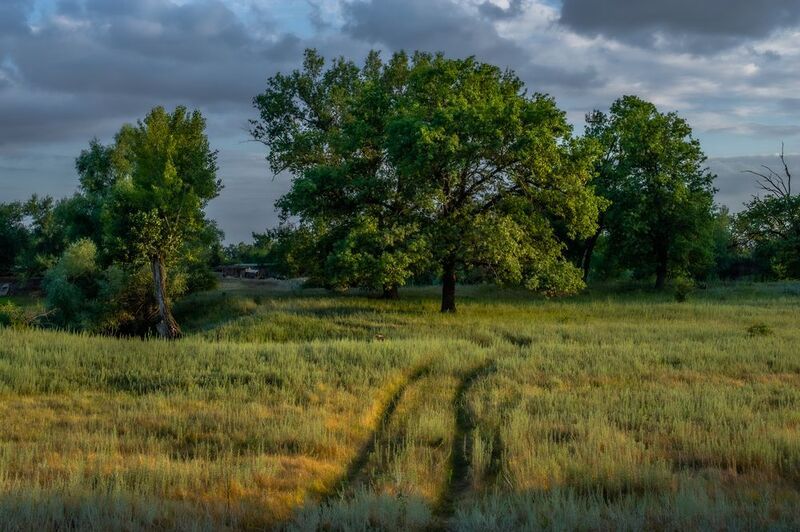 природа,пейзаж,дорога,небо Вечер фото превью