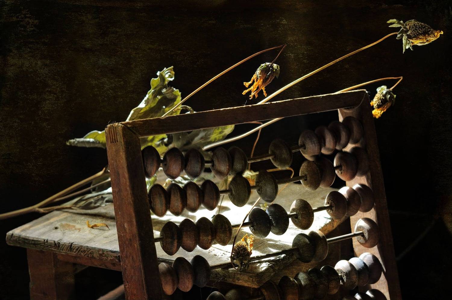 , Ирина Данилова