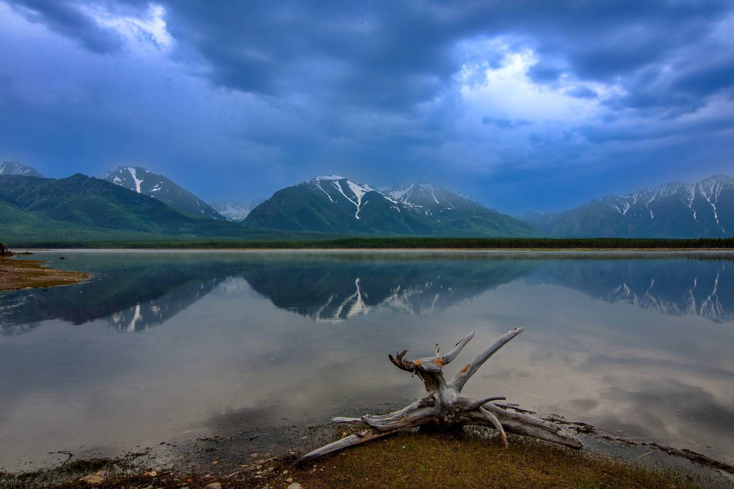 , Добролюбова Тамара