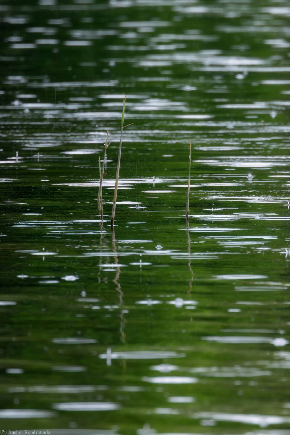 Вода, Кондратенко Руслан