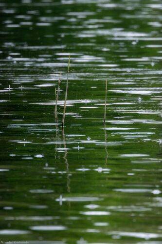 Вода