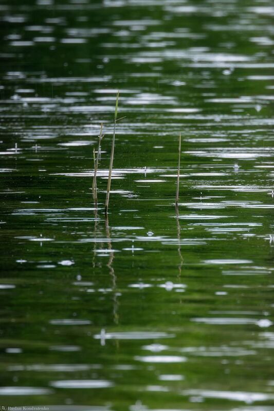 Вода фото превью