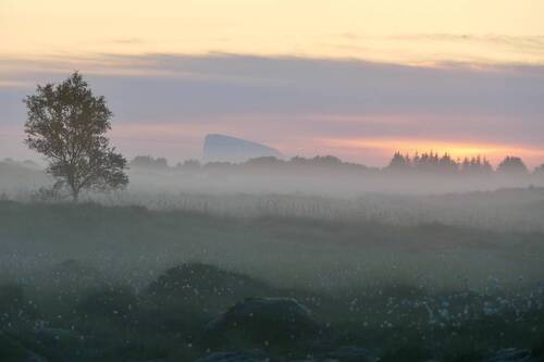 Летний рассвет