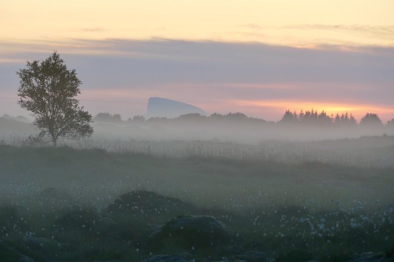 Landscapes, Norway, Sunrise, Mood, Tree, Fog,  Летний рассвет фото превью