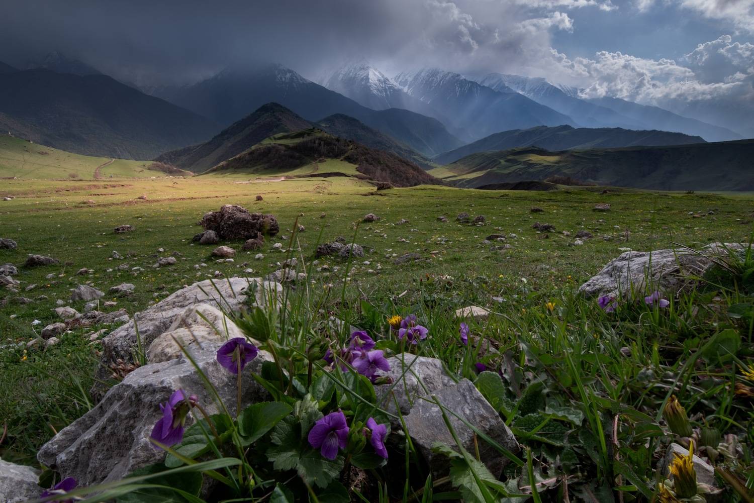 , Ширгин Сергей