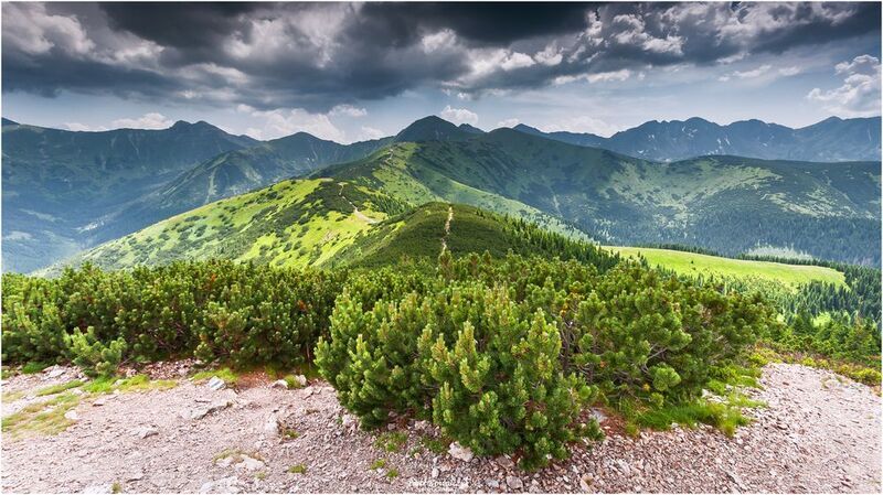 polska, tatry, góry *** фото превью
