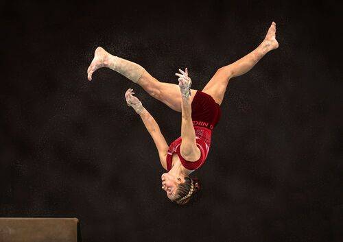 Fearless dismount