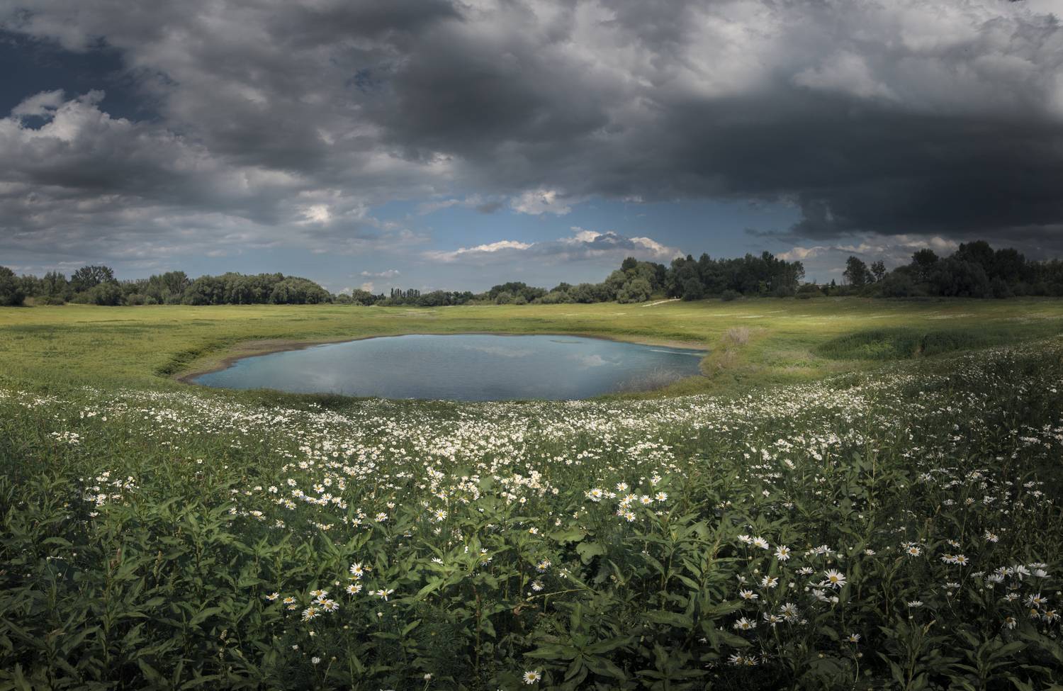 , Сергей Москалянов