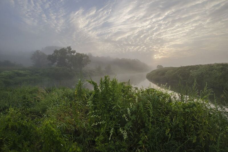 Июльское утро на Упе фото превью