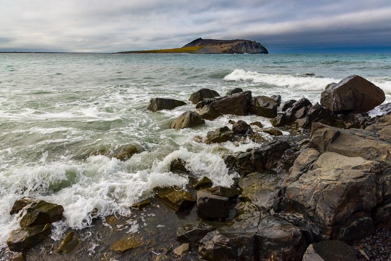 Здесь живут белые медведи фото превью