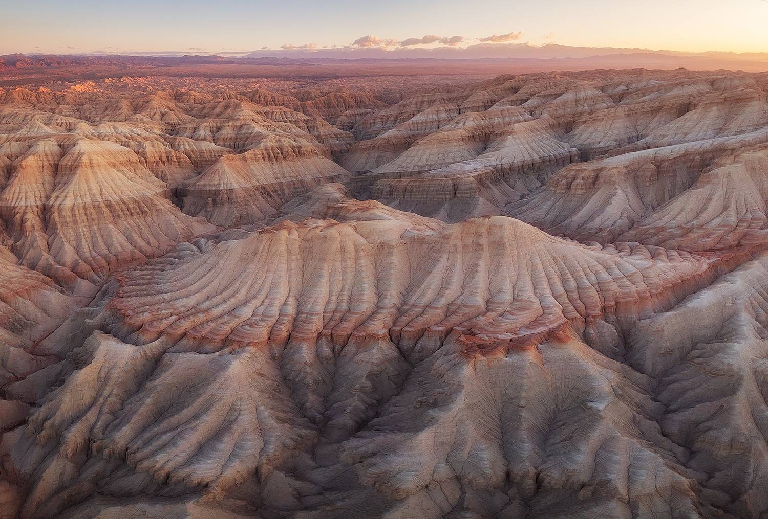 , Андрей Родионов
