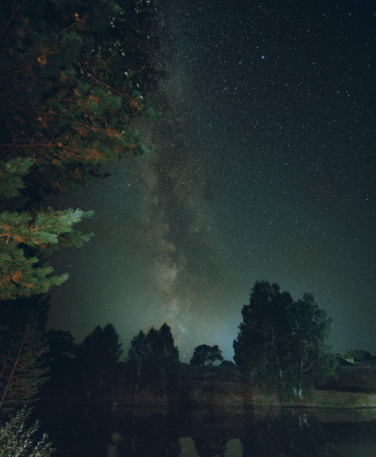 Звезды, ночное небо, озеро, деревья, млечный путь, Алтай, Denis Koshkin