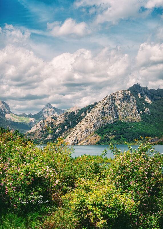 #nature #greenescape #hikingadventures #naturevibes #earthmood #sereneviews #landscape_lovers #wanderlust #freshair #calmplace фото превью