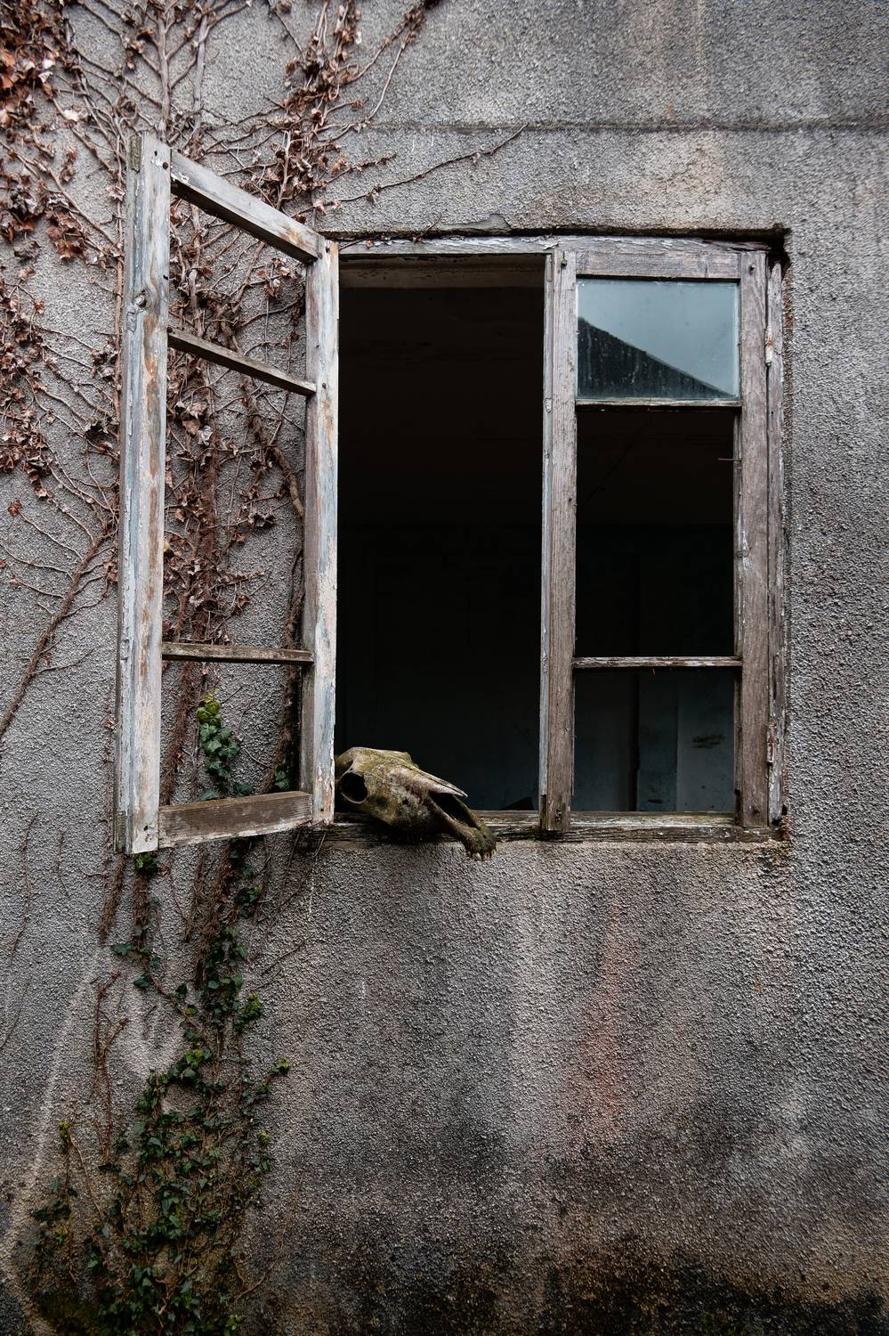 , Какоткин Роман