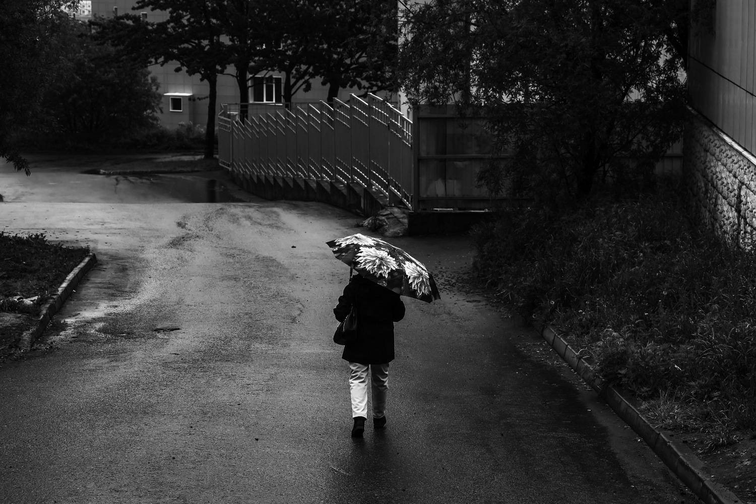 зонт, прохожий, непогода, дождь, Уткин Дмитрий