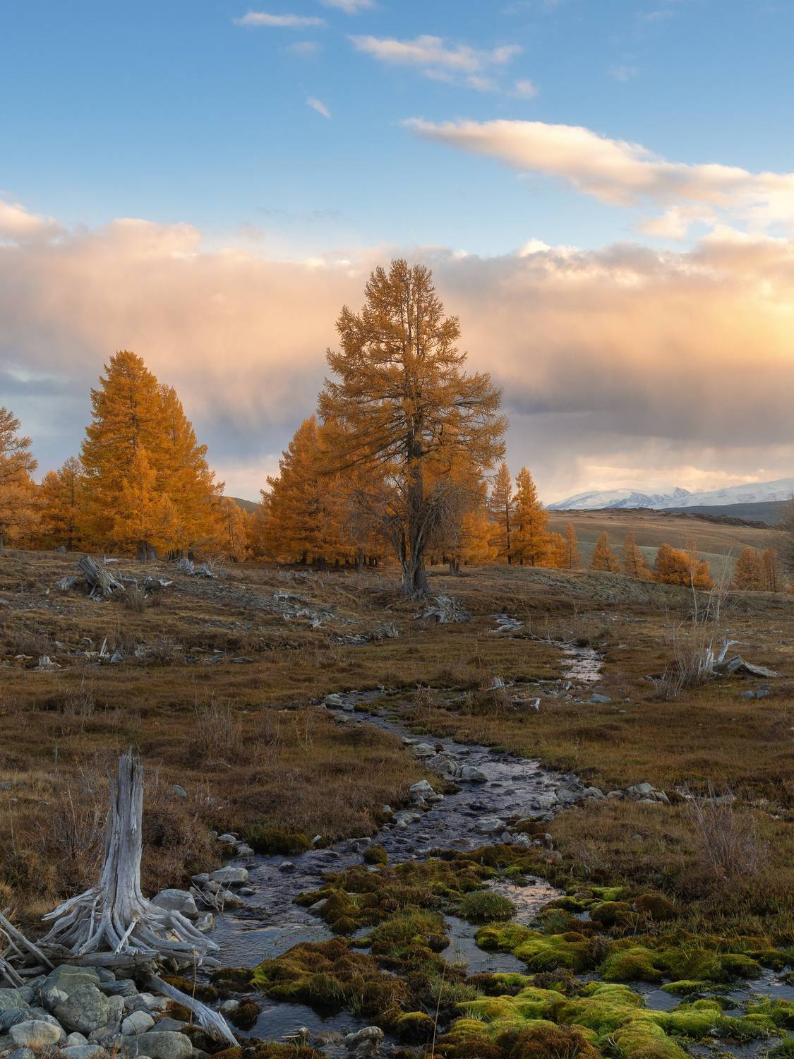 , Мозжухин Максим