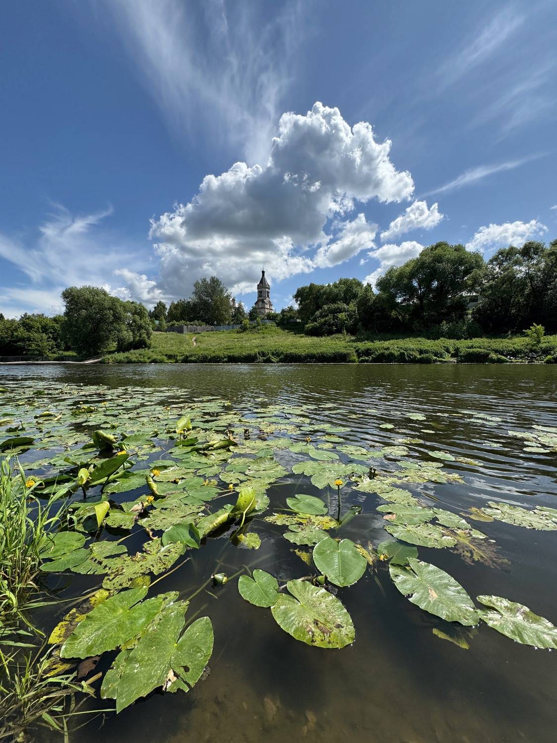 , Аседач Александр