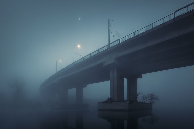 2024-12-20 фото превью