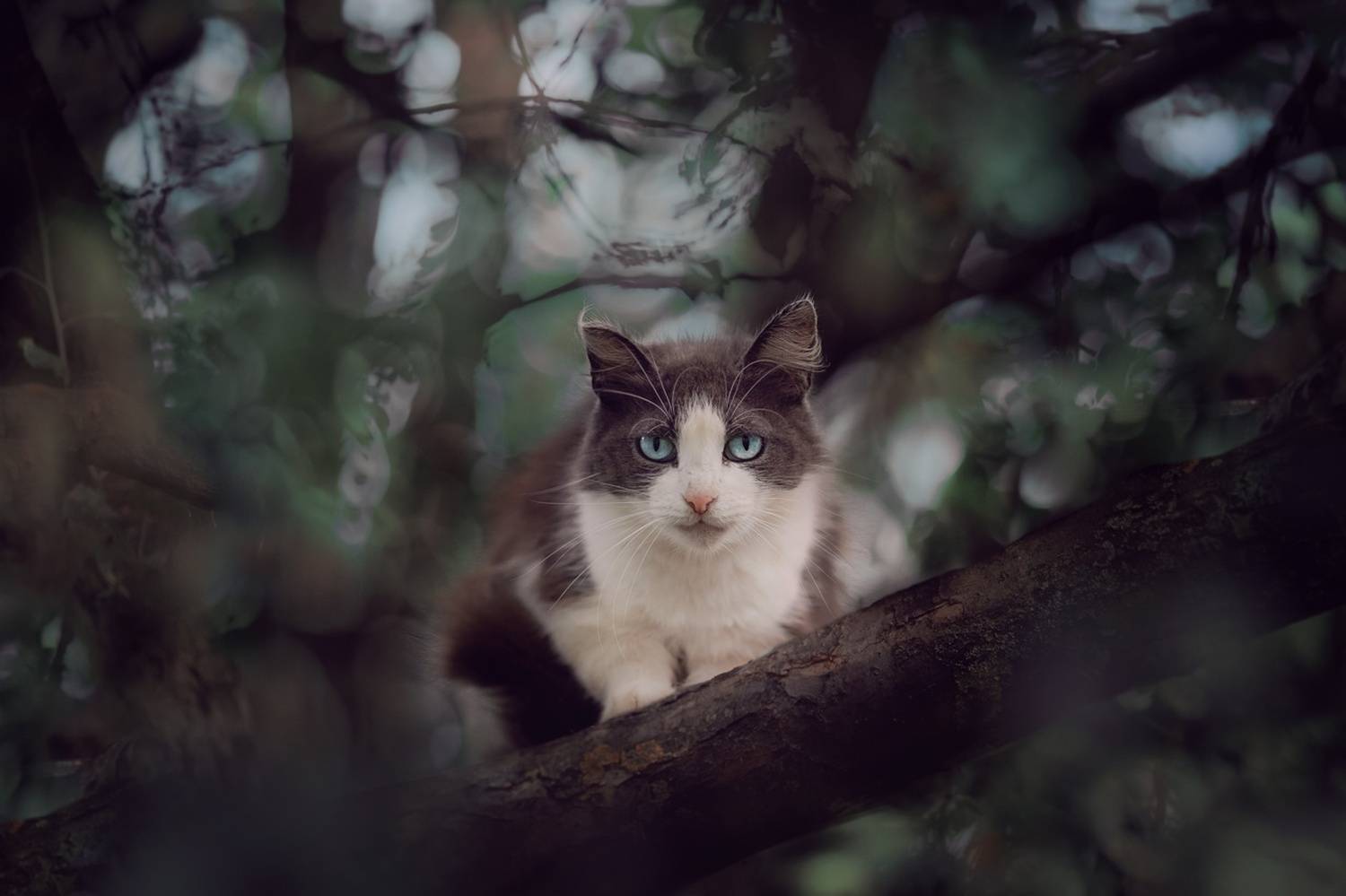 , Наталия Матвеева