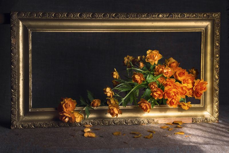 В рамку фото превью