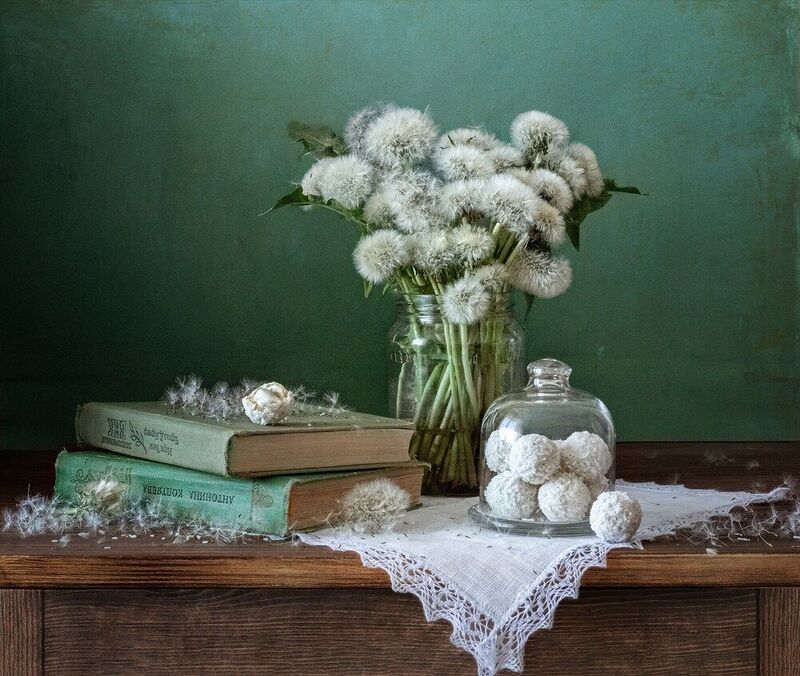 Одуванчики фото превью