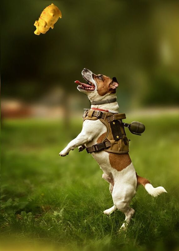 Игроман) фото превью