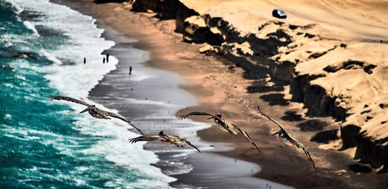 Слои Бытия фото превью