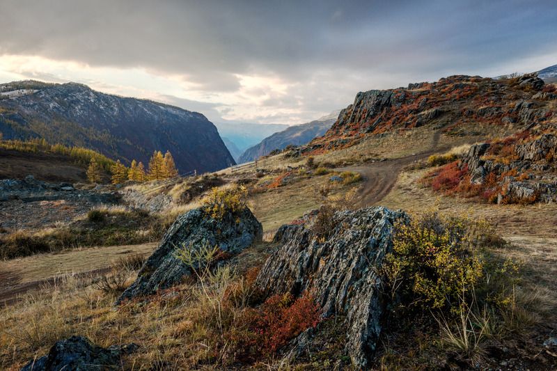 Алтай. На перевале Кату Ярык фото превью