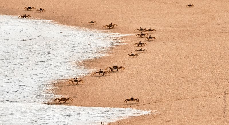 Песчаный дозор фото превью