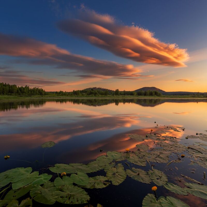 Прибытие фото превью