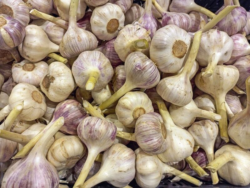 Молодой чеснок фото превью