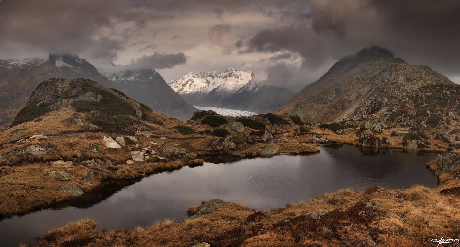 swiss, Матвеев Николай