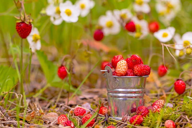 .... фото превью