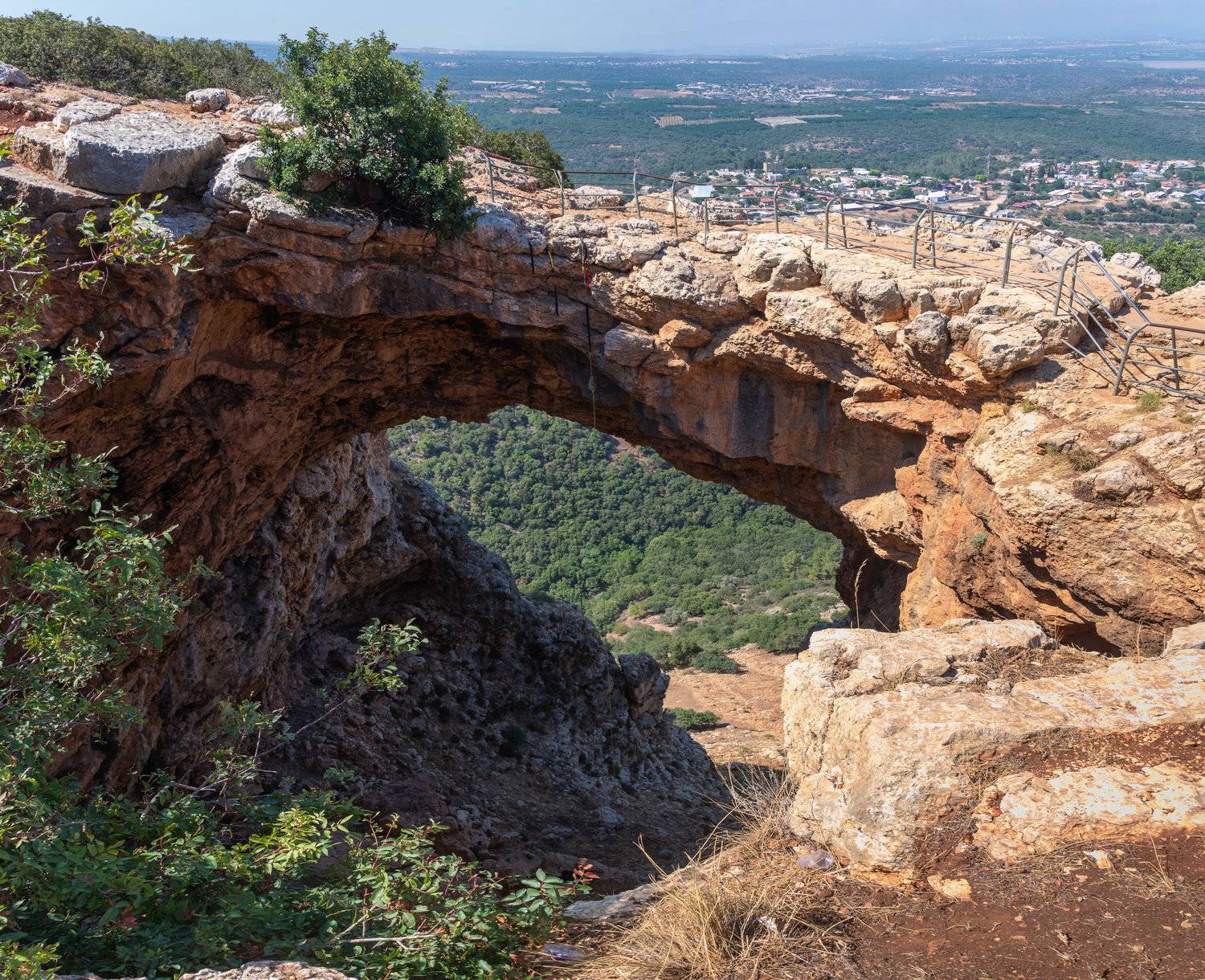 , Vladimir Bragilevsky