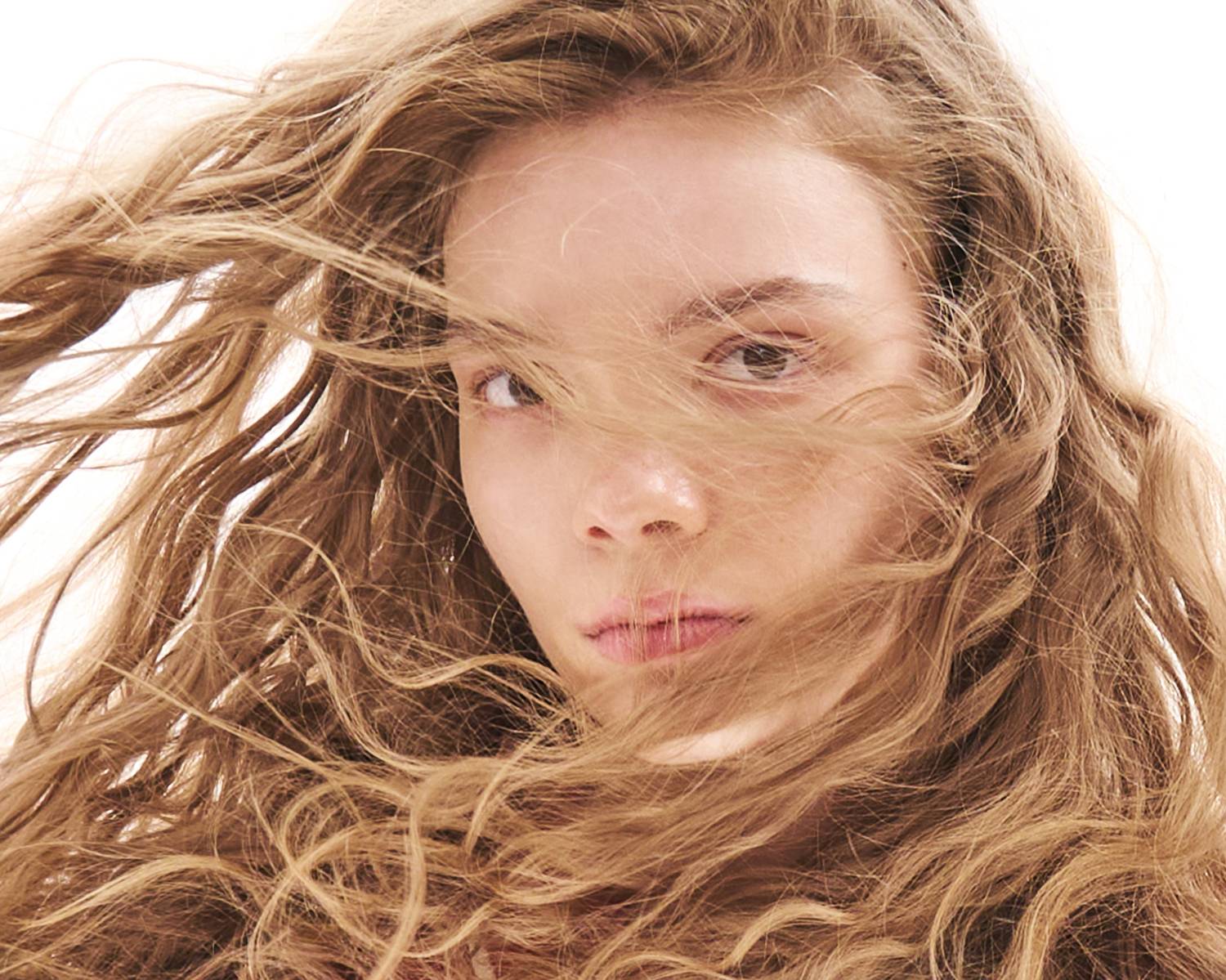 студийный портрет, девушка, волосы, кудри, курчавые волосы, волосы на ветру, ветер, ветер в волосах, распущенные волосы, глаза, взгляд, харизма, портрет девушки, постановочное фото, блондинка, харизматичный портрет, studio portrait, girl, hair, curls, cur, Лебедев Кирилл