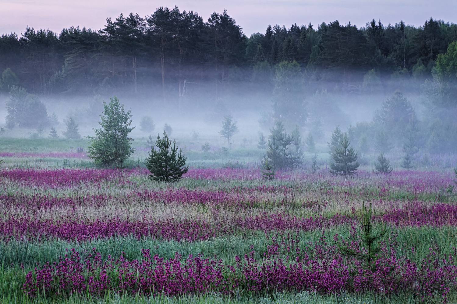 , Евгений Ерохин