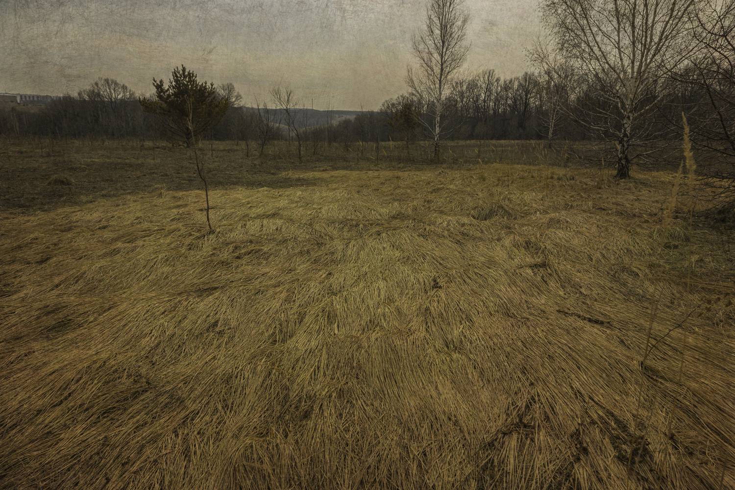 , Сагдиева Эльвира