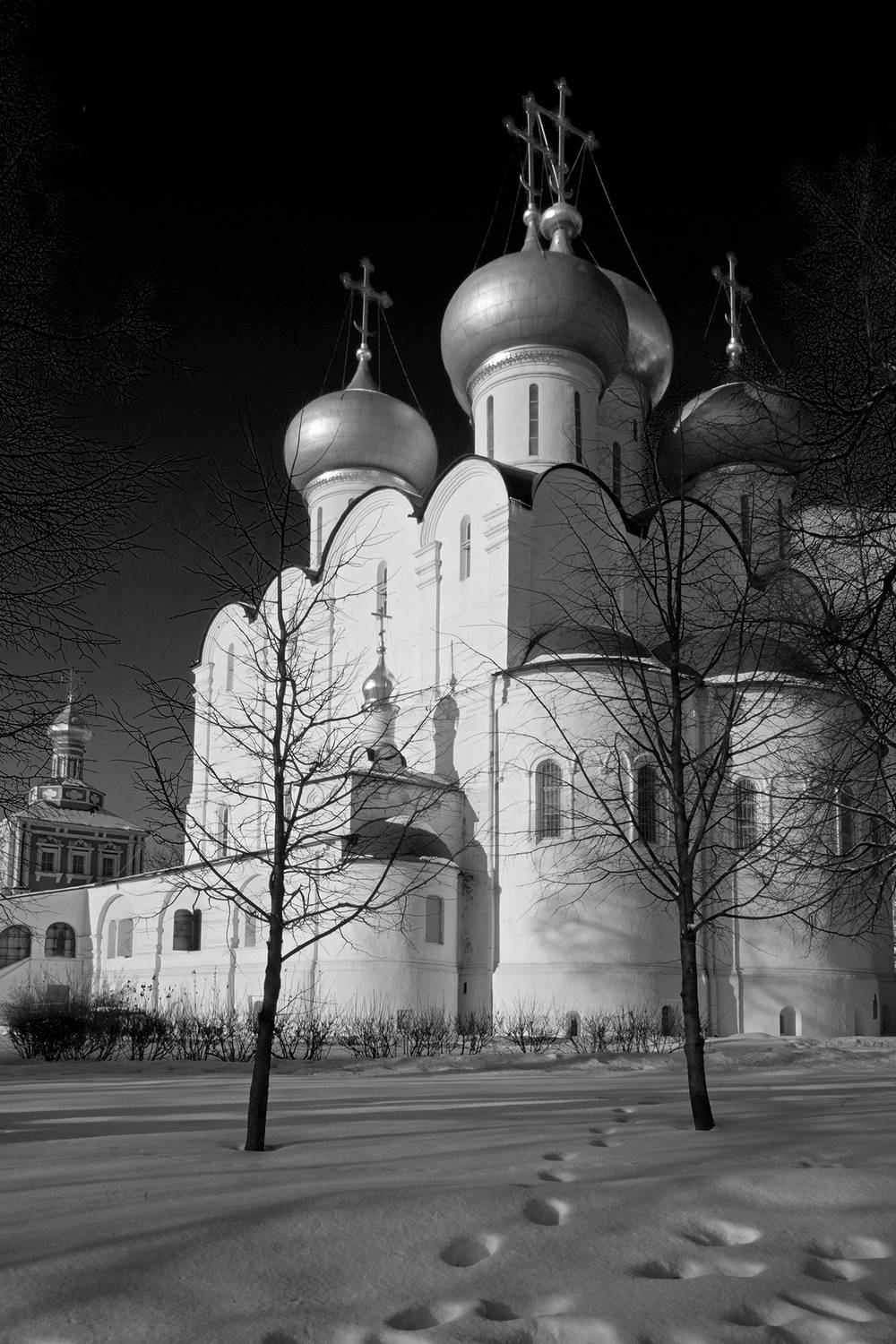 , Андрей Петросян